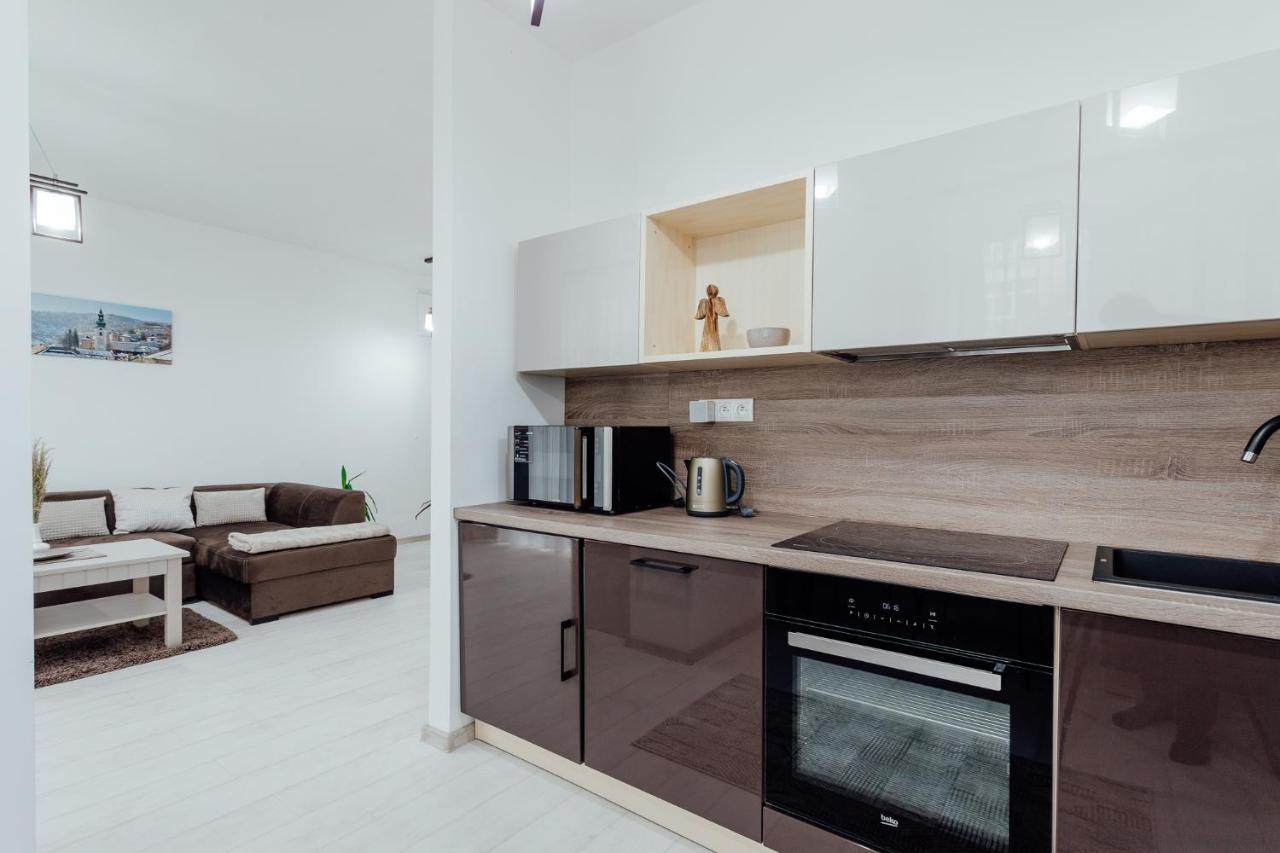 Apartman Vo Vile Kammergraf Banská Štiavnica エクステリア 写真